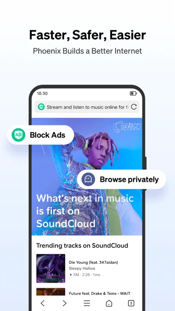 Phoenix Browser Android app screenshot 5