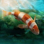 Aquarium Designer app icon