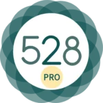 528 Player Pro app icon