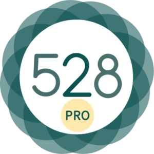 528 Player Pro app icon