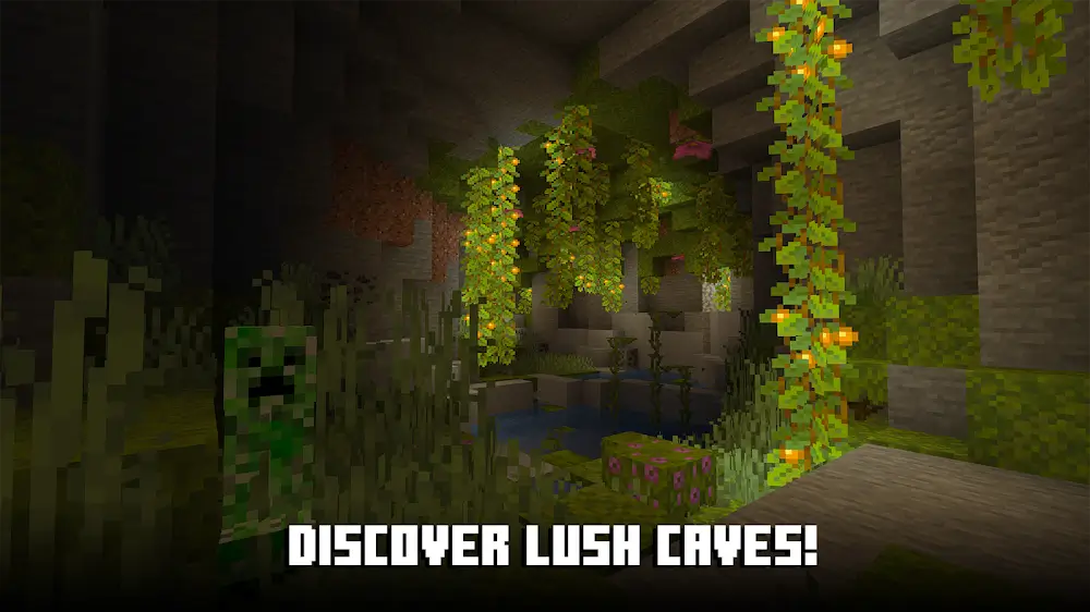 Minecraft Android app screenshot 7